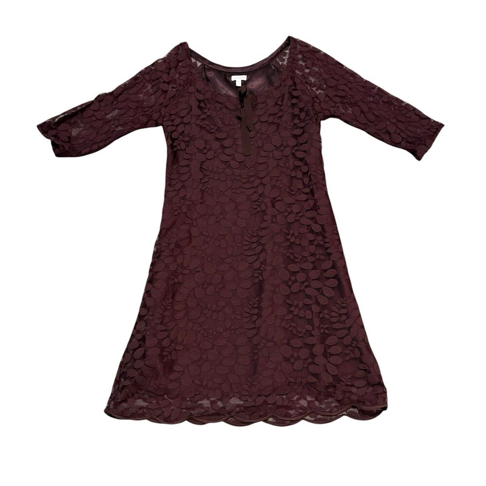 Garnet Hill Brown Boheme Easy Lace Dress Size 8